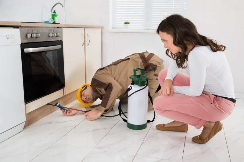 Termite Baiting Systems